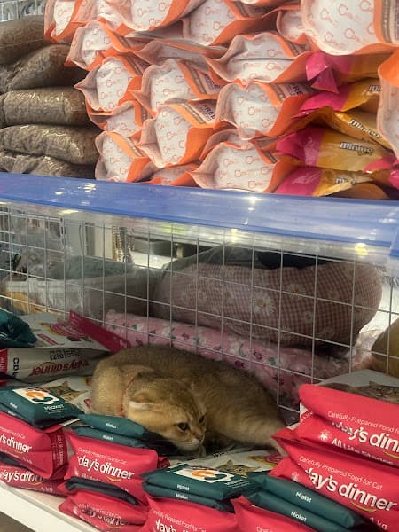 Hình ảnh phòng khám thú y Liên Nghĩa - Đức Trọng - 3