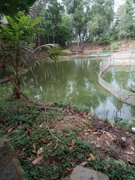 Hình ảnh Quán Hải Sản Hằng - 4