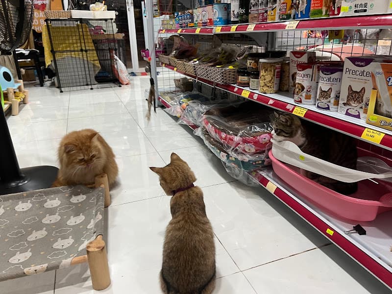 Hình ảnh EnBi’s PetShop - 3