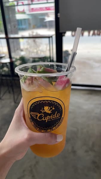 Hình ảnh CUPIDO TEA - 3
