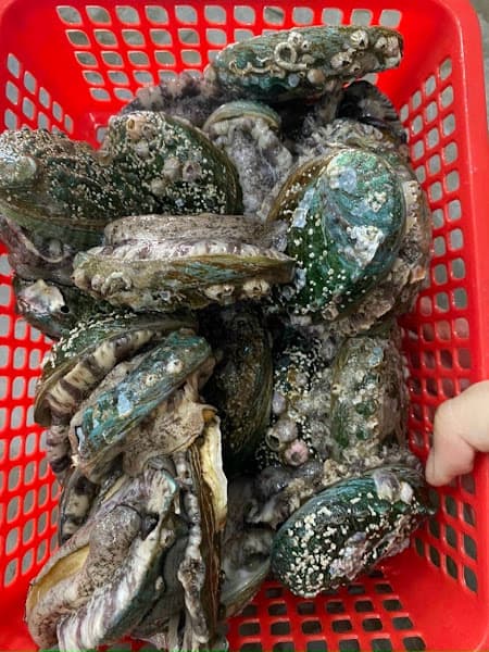 Vựa Hải Sản Ái Phương - Rạch Giá