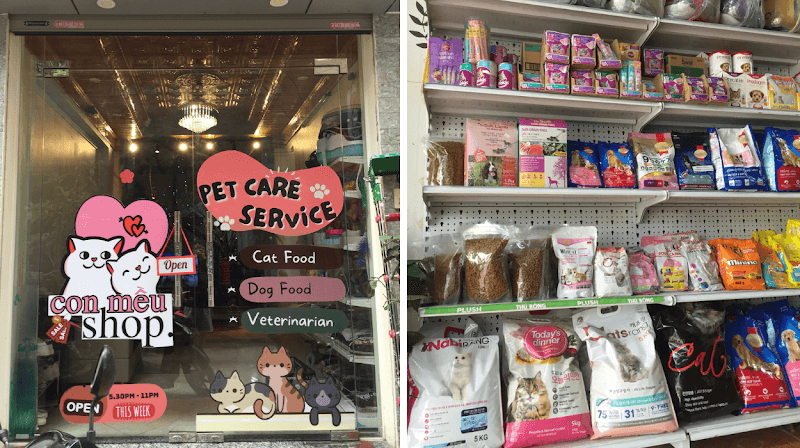 Hình ảnh COn Mều Shop - Cửa Hàng Thú Cưng Hải Dương - 4