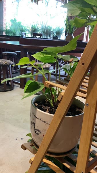 Hình ảnh Cafe Nhà Của Mị - 4