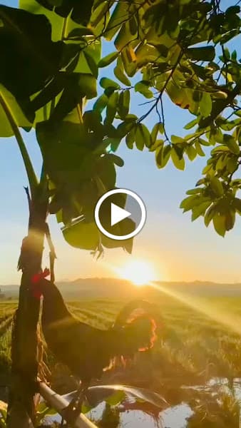 Hình ảnh Năm Có 12 tháng - Vietnamese Restaurant Son Tra - 3