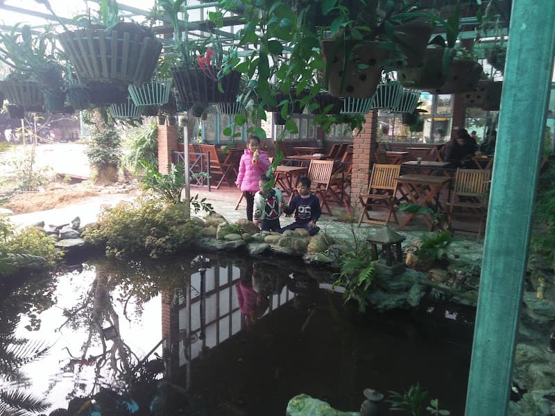 Hình ảnh HT Quê Choa Cafe & Karaoke - 4