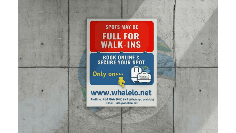 WhaleLO Luggage Storage - Thạch Sơn