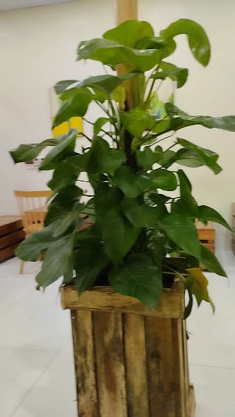 Hình ảnh Bananas Coffee & tea - 5