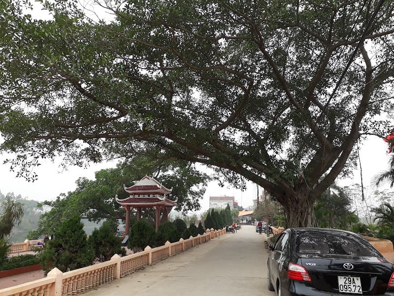 Ảnh bìa Di Tích Lịch Sử Cây Đa Sài Thị