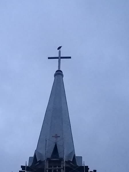 Hình ảnh Cà phê Matcha - 4