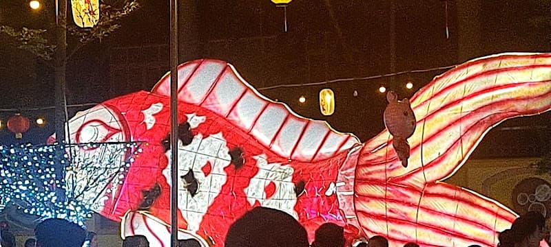 Hình ảnh Phố đi bộ Hà Tĩnh - 2