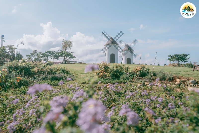 Mongo Land - Đà Lạt