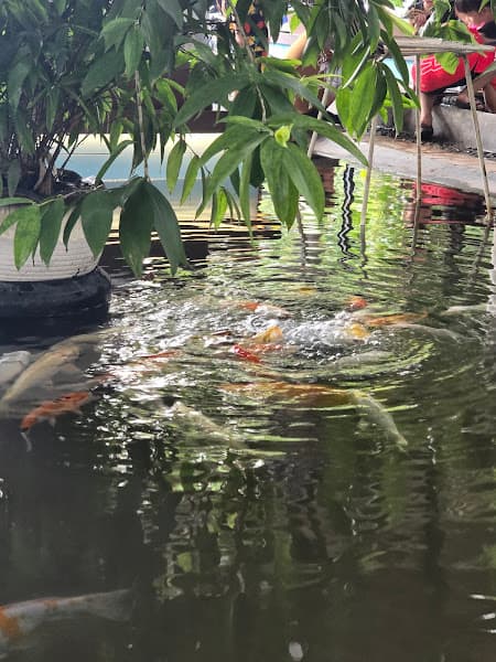 Hình ảnh Hải Sản Đại Dương - 4