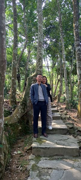 Hình ảnh Phở Bò; Gà; Sốt Vàng T235 - 5