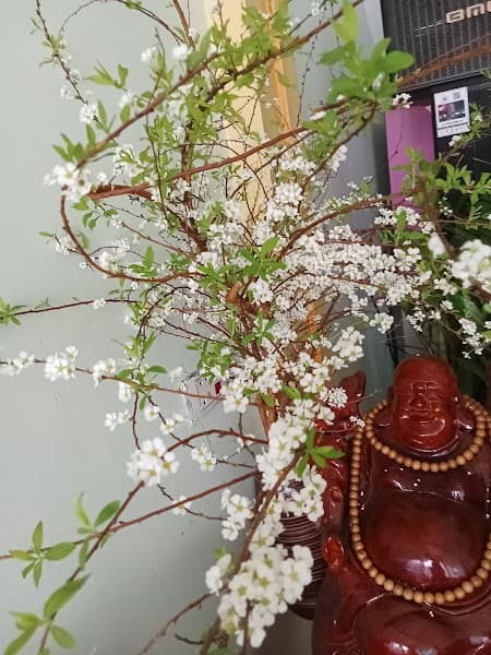 Hình ảnh Quán Ăn Gia Đình Chuông Gió - 4