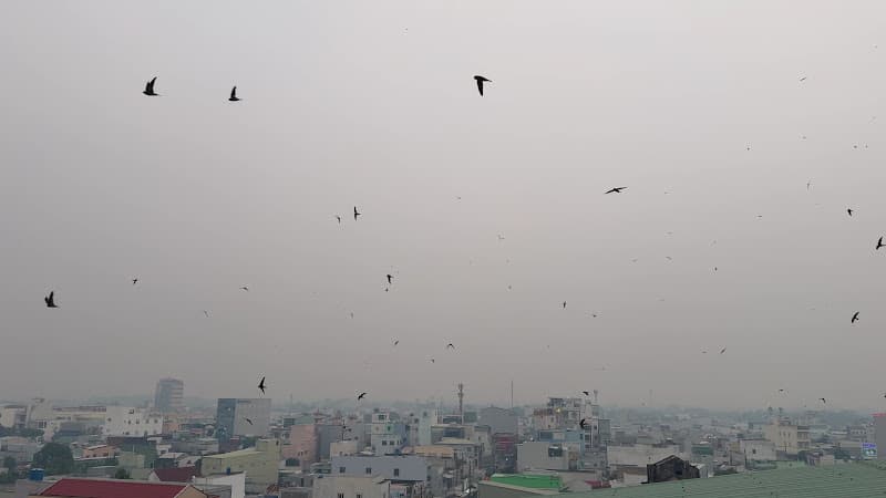 Ảnh bìa Yến sào Ngọc Trân