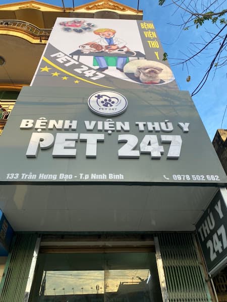 Ảnh bìa Bệnh Viện Thú Y Pet247