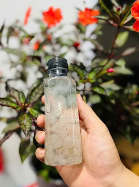 Hình ảnh Quán Bánh Canh - Bún Riêu 93 - 2