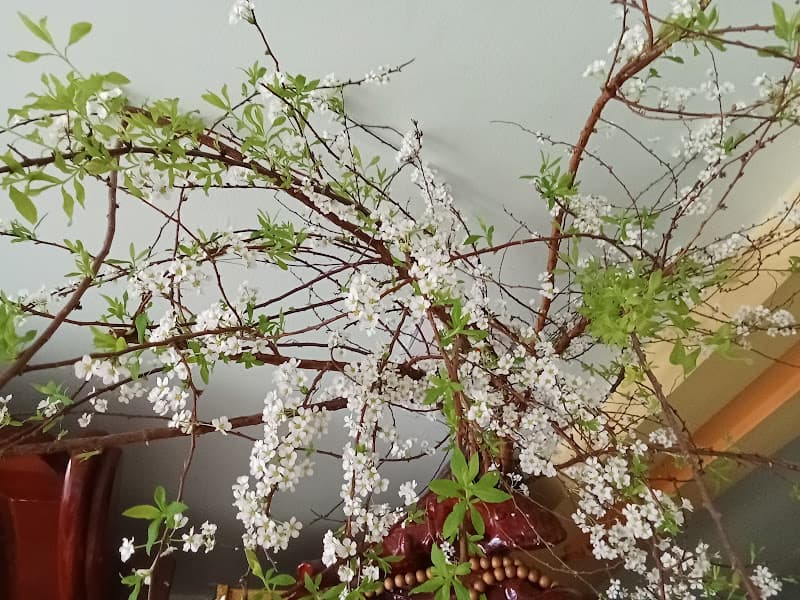 Hình ảnh Quán Ăn Gia Đình Chuông Gió - 3