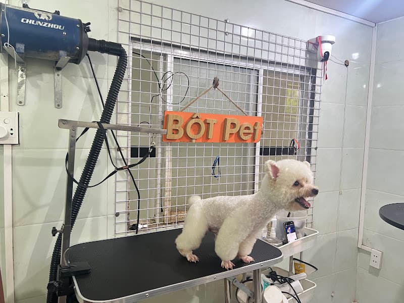 Bột Pet - Khách sạn lưu trú và spa chó mèo