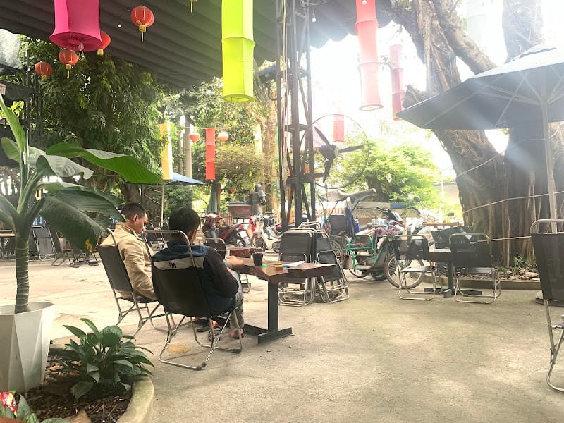 Ngô Đồng Coffee & Billiard