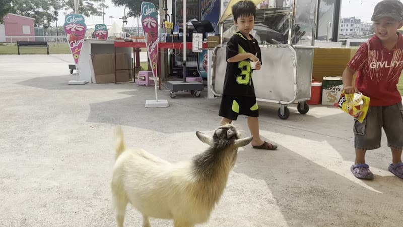 Hình ảnh Mật Pet Farm - Sài Gòn - 4