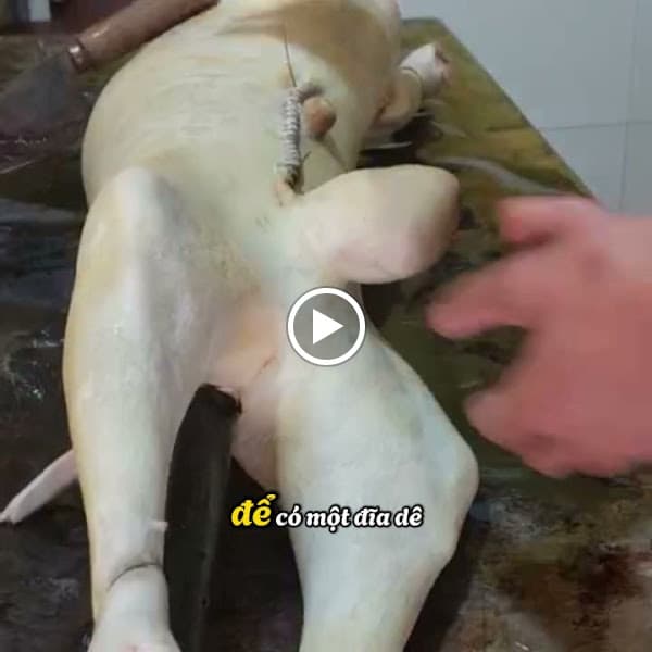 Hình ảnh Nhà Hàng.Dê Phương Nam - 4