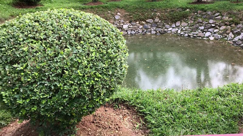 Hình ảnh Lòng Chát Quán - 6