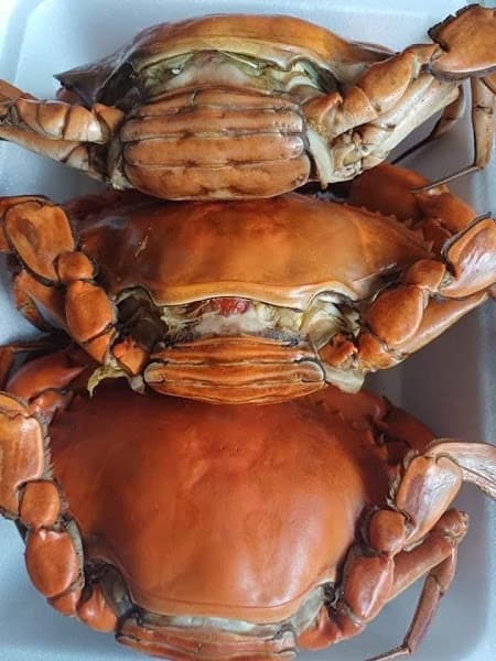 Hình ảnh Vựa Hải Sản Cà Mau - 2