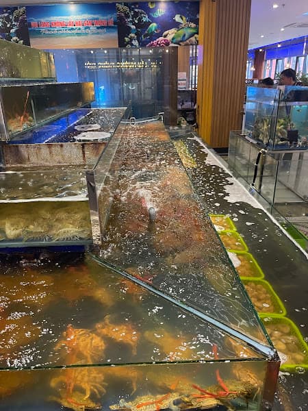 Hình ảnh Buffet Hải Sản - Hp3 Seafood - 2