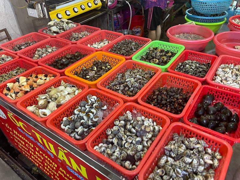 Hình ảnh Ốc Tuấn Lý - 3