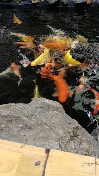 Hình ảnh Sam Coffee & Milk Tea - 3