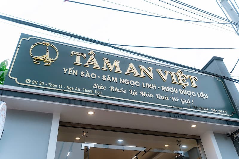 Ảnh bìa Yến sào, Sâm Ngọc Linh TÂM AN VIỆT