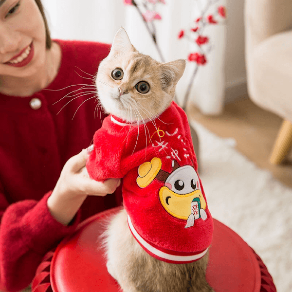 Hình ảnh KITTY PET SHOP - HAMSTER SHOP - 5