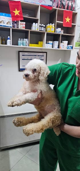 Bệnh Viện Thú Y PetHealth Tuyên Quang