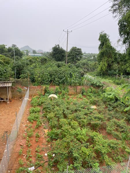 Hình ảnh Thánh Nl - 2