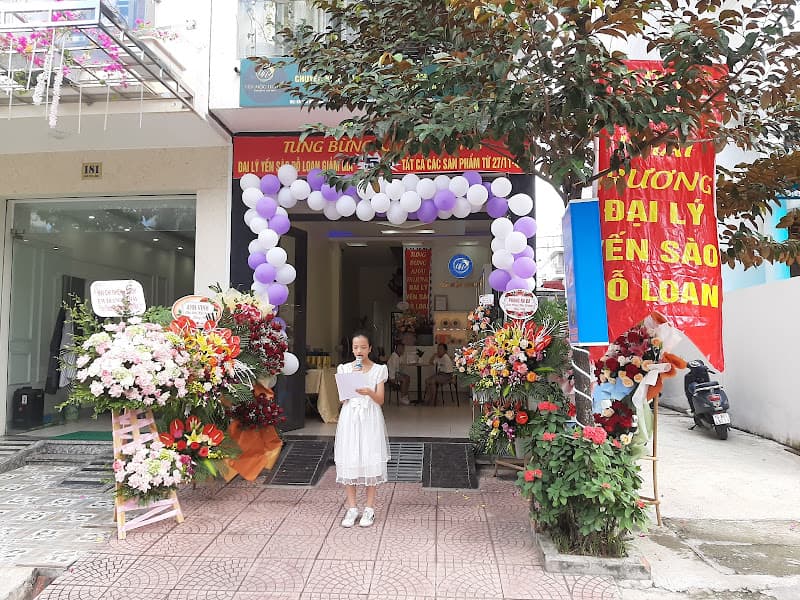 Ảnh bìa Đại lý yến sào Đỗ Loan, chuyên yến Mộc Hương và Đông trùng hạ thảo