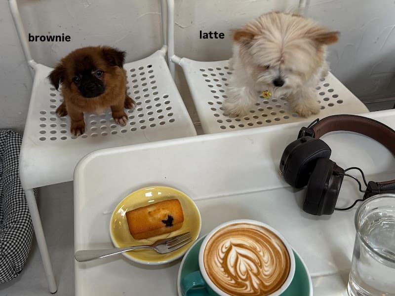 Hình ảnh D Coffee - 4