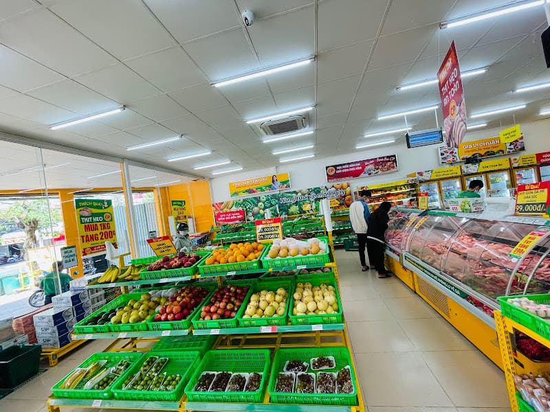 Hình ảnh Siêu thị Bách hoá XANH Đường Ung Văn Khiêm - 7