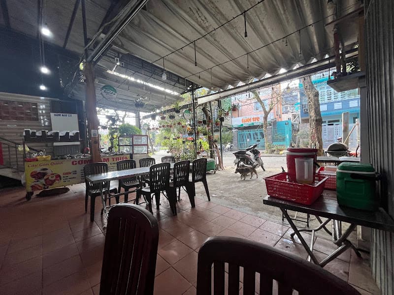 Hình ảnh Cây gòn - 4