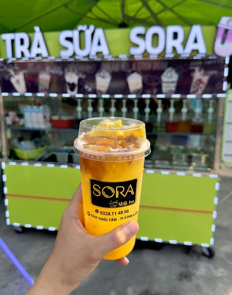 Hình ảnh Trà sữa Sora - 2