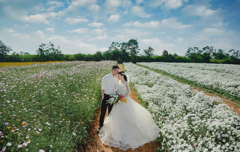 Hình ảnh Đồi hoa hướng dương Nghệ An - 4