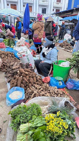 Ảnh bìa Dược liệu Mẩy Sìn Hồ