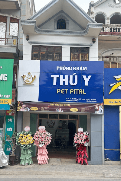 Bệnh Viện Thú Y PetPital