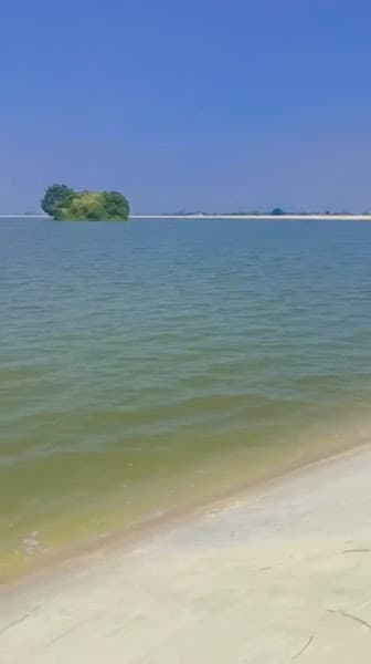 Hình ảnh Đình làng Tiêu Sơn - 4