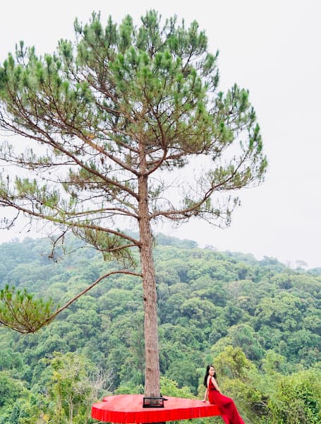 Hình ảnh Khu Du Lịch Sinh Thái Hoa Sơn Điền Trang - 2