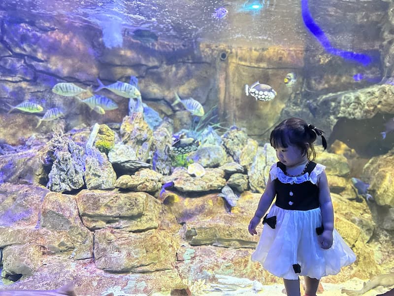 Hình ảnh Karaoke Rubi - 9