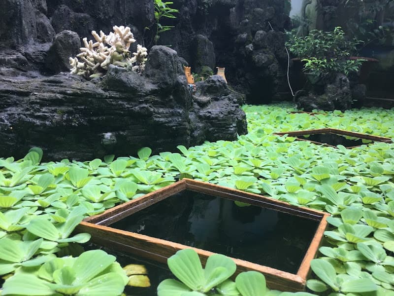 Hình ảnh Cafe Karaoke Sơn - 3