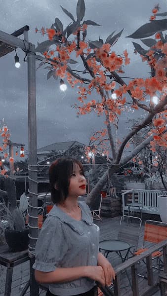 Hình ảnh Green Floor Coffee - 2