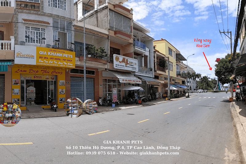 Hình ảnh Gia Khanh Pets - Cửa hàng chăm sóc và làm đẹp thú cưng - 4