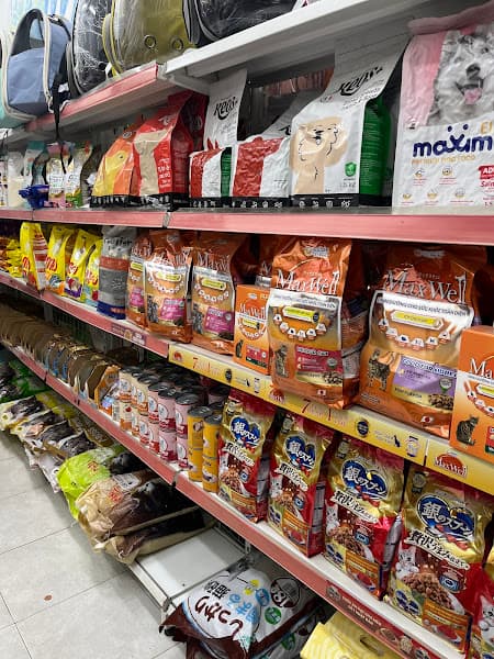 Hình ảnh Cutepets - Cửa hàng thú cưng Kim Giang - 2